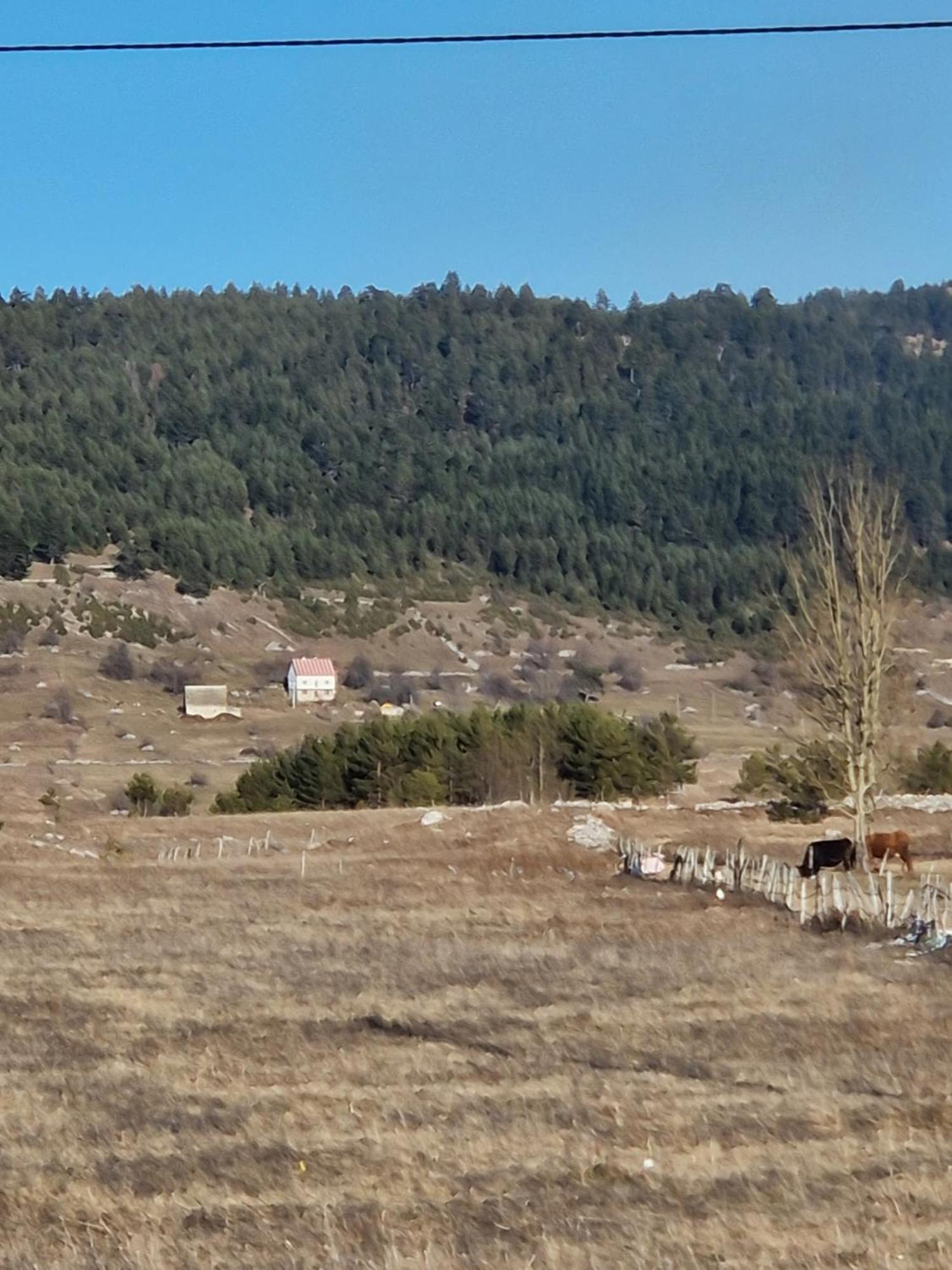 Cozy Home Small Bear Žabljak Dış mekan fotoğraf